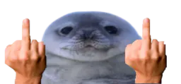 :Phoque_you: