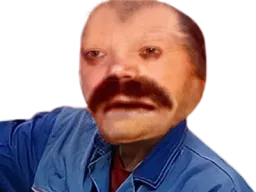 :3_8_risitas: