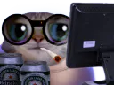 :chatnuit: