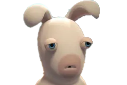 :lapin_triste: