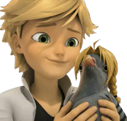 :Theo_Edward_pigeon: