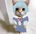 :Chatrei: