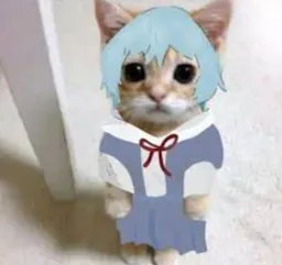 :Chatrei: