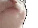 :chat_danse2: