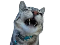 :CS_NRV: