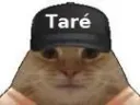 :Tare_1:
