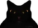 :chatdark: