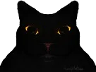 :chatdark: