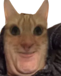 :Chat2ouf:
