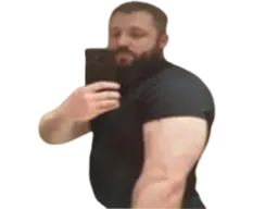 :viking_berrichon: