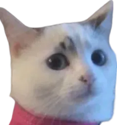 :Cestinchat: