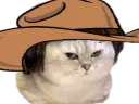 :Chat_cowboy: