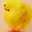 Poussin