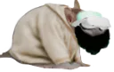:chrat_muslim_vr: