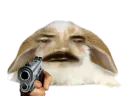 :Lapin_Gun: