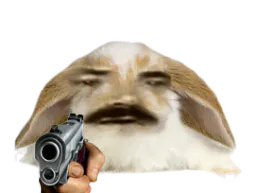 :Lapin_Gun: