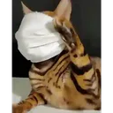 :Chatmasque: