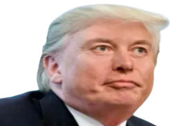 :Elon_Trump: