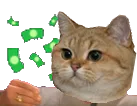 :sodium_billet: