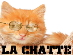 :larry_chatte:
