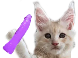 :chat_gode:
