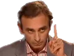 :ZemmourDoigt: