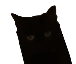 :CatCentQuatre: