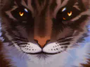 :chat_zoom2: