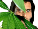 :ramoscache: