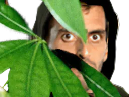 :ramoscache: