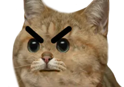 :ColereMax_chat: