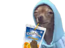:chihuahua_caprisun: