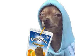 :chihuahua_caprisun: