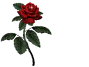 :roserouge: