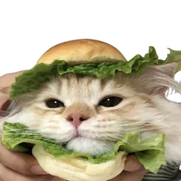 :Sandwichat: