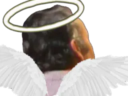 :risiange: