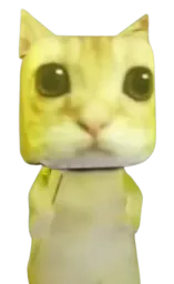 :Yodacat: