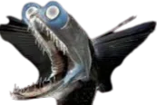 :Poisson_abysse2: