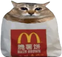 :Fritechat: