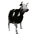 :testjsrtnrehq: