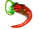 :wonkipiment: