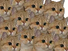 :sodium_gang:
