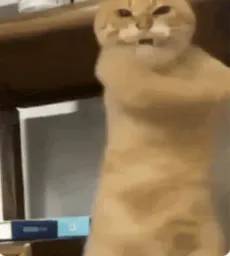 :Chat_non_contour: