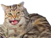 :eze: