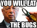 :eat_the_bugs: