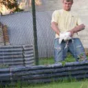 BlodinZoophile