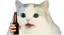 :CattoBiere: