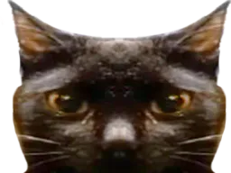 :black: