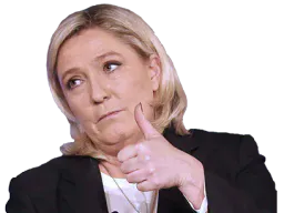 :marine_pouce: