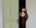 :Lain_porte_en_bois: